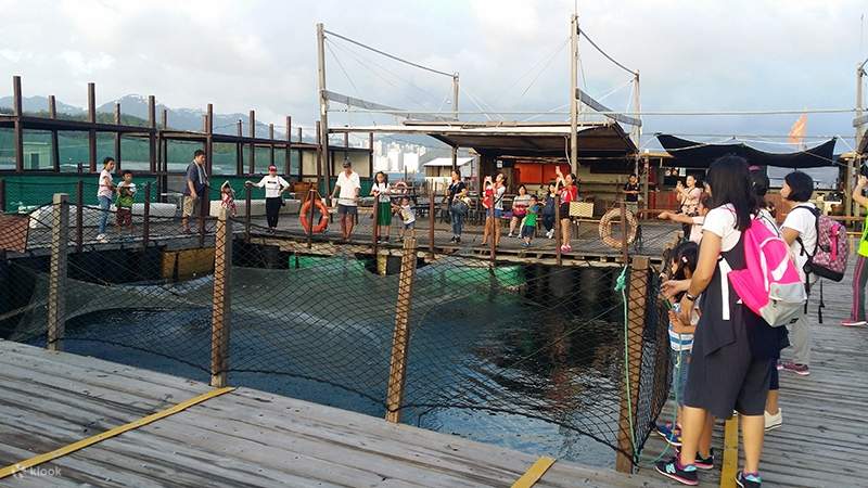Introduction to Hong Kong’s Intangible Cultural Heritage: [Marine Fish Breeding Techniques]